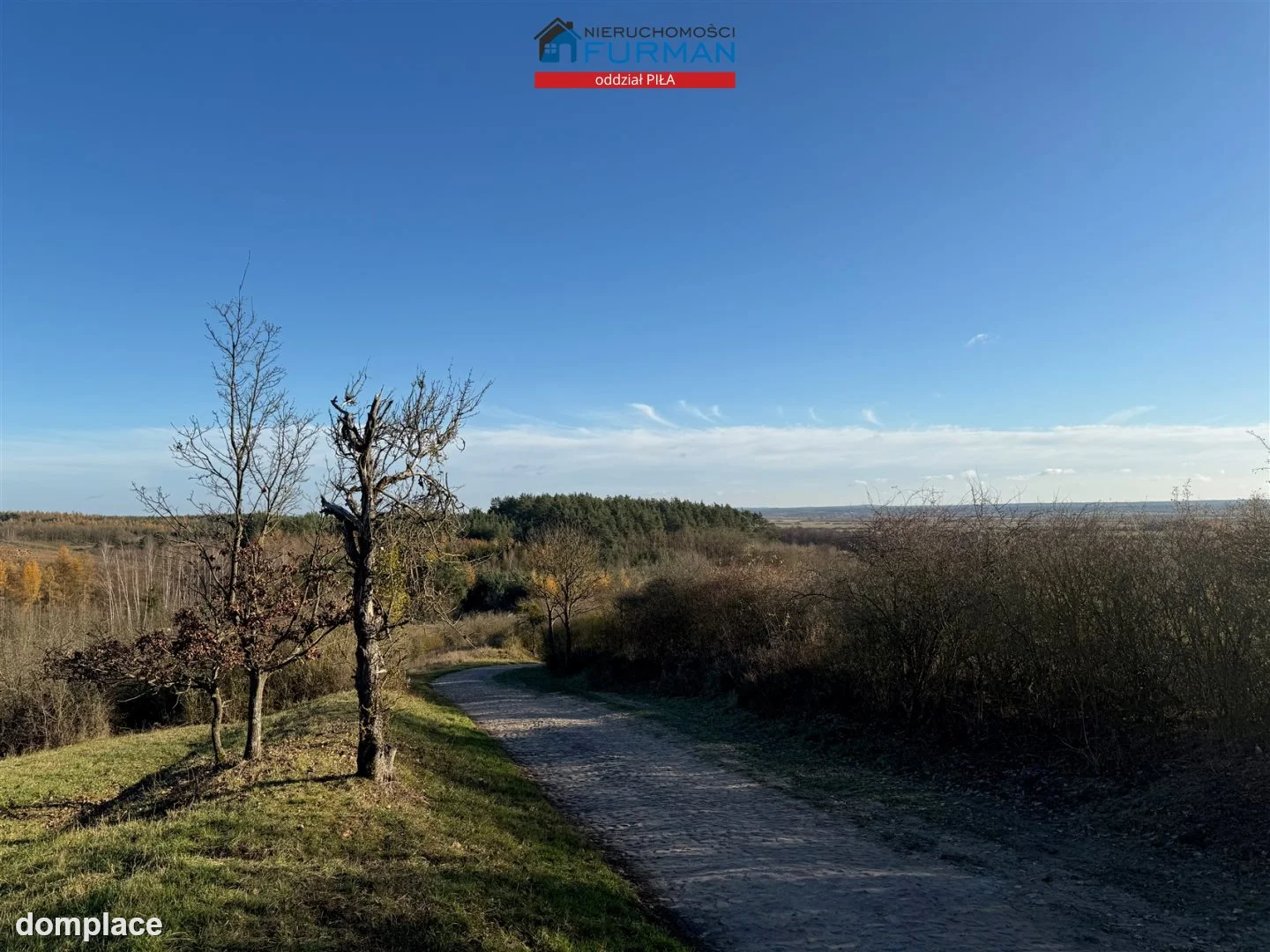 Działka — Wolsko Górne — zdjęcie 7