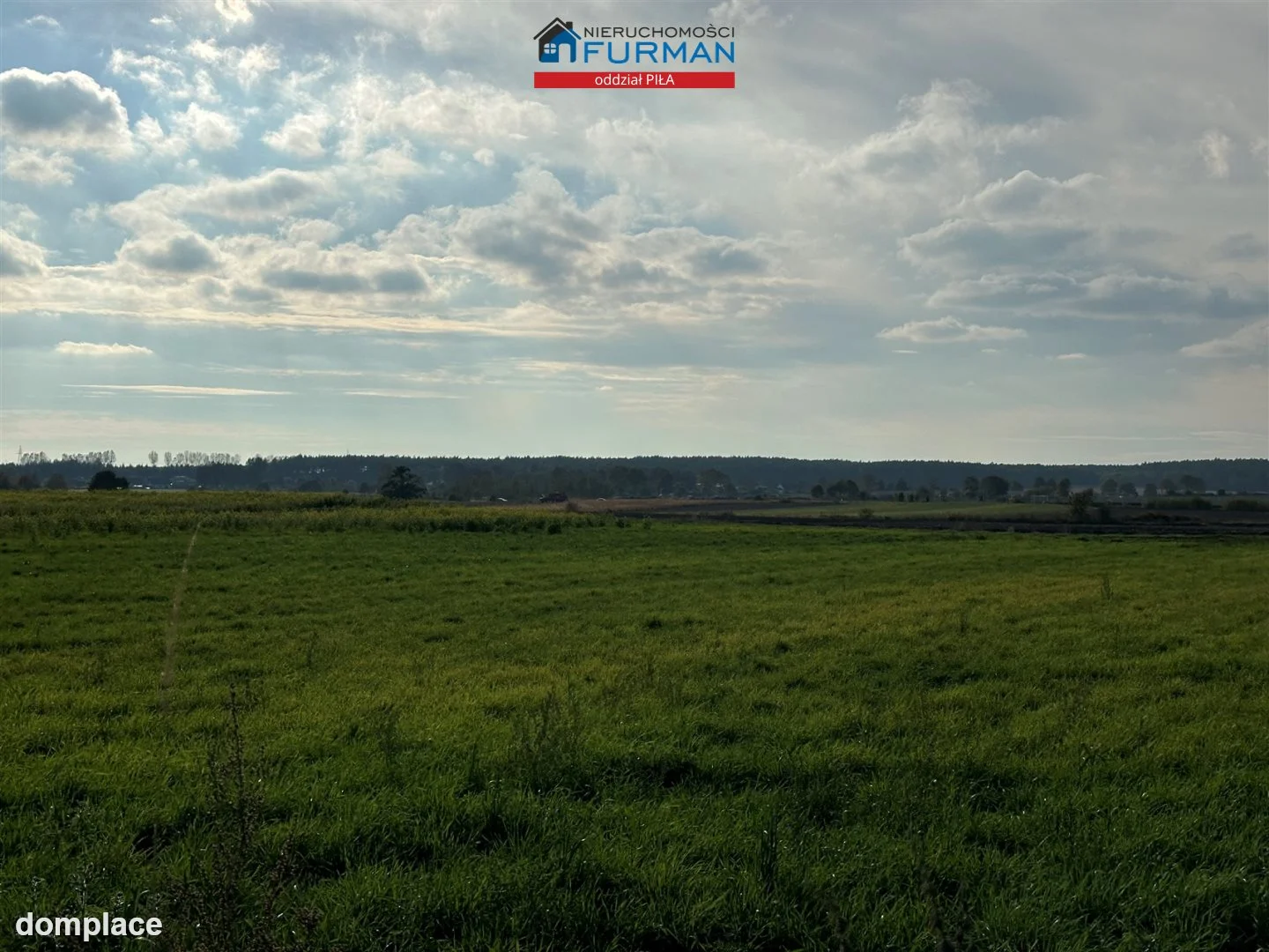 Działka — Morzewo — zdjęcie 8