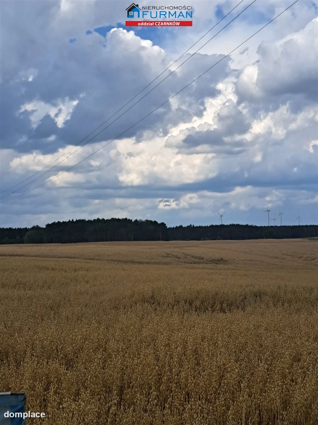 Działka — Sarbia — zdjęcie 4