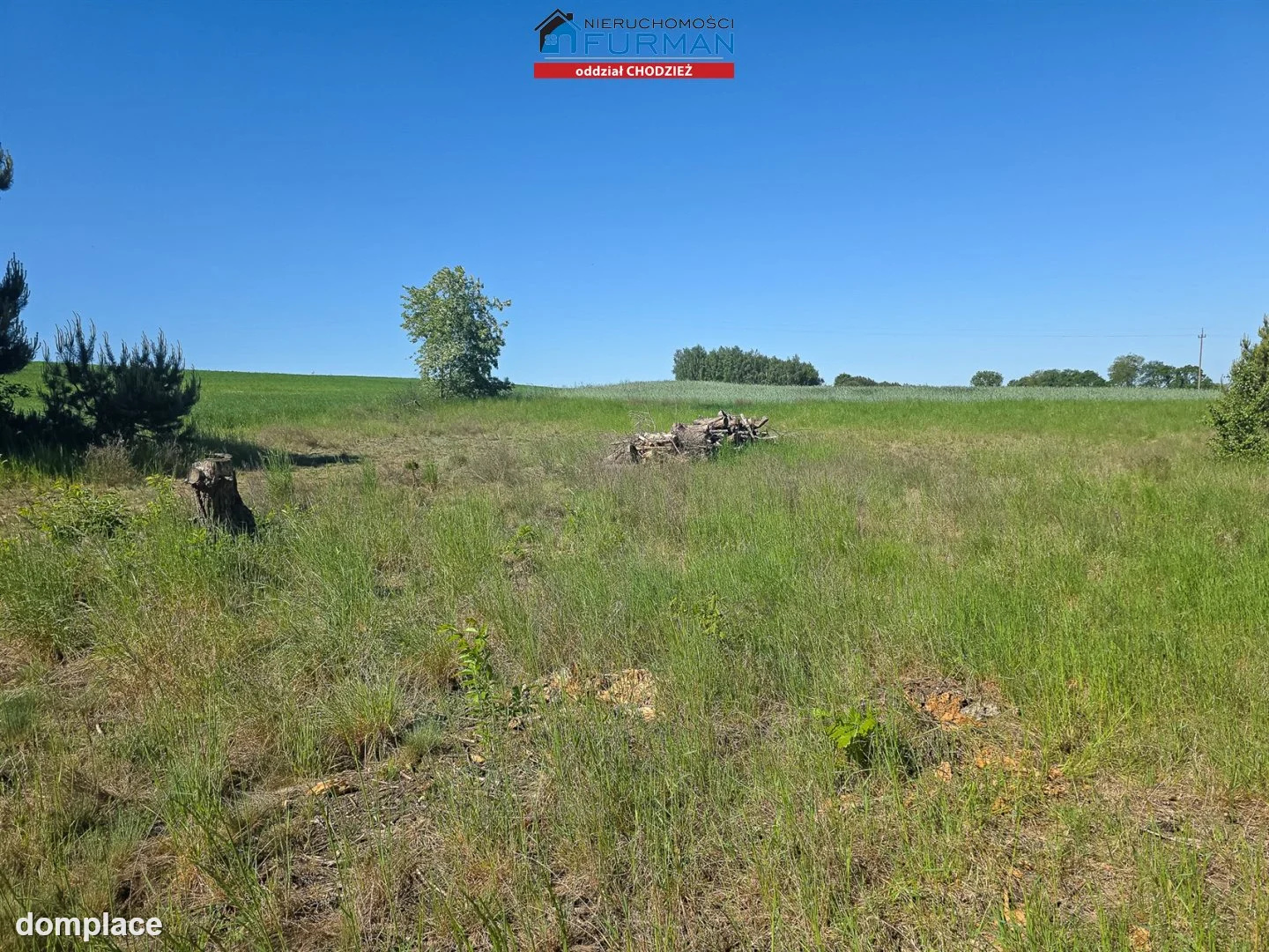 Działka — Konstantynowo — zdjęcie 4