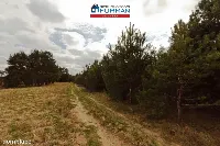 Działka — Dobrzyca — zdjęcie 4