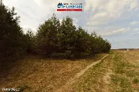Działka — Dobrzyca — zdjęcie 5