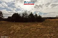 Działka — Dobrzyca — zdjęcie 8
