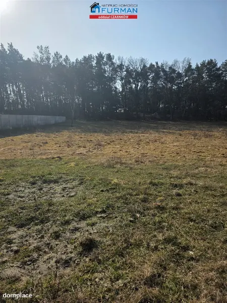 Działka — Bukowiec — zdjęcie 3
