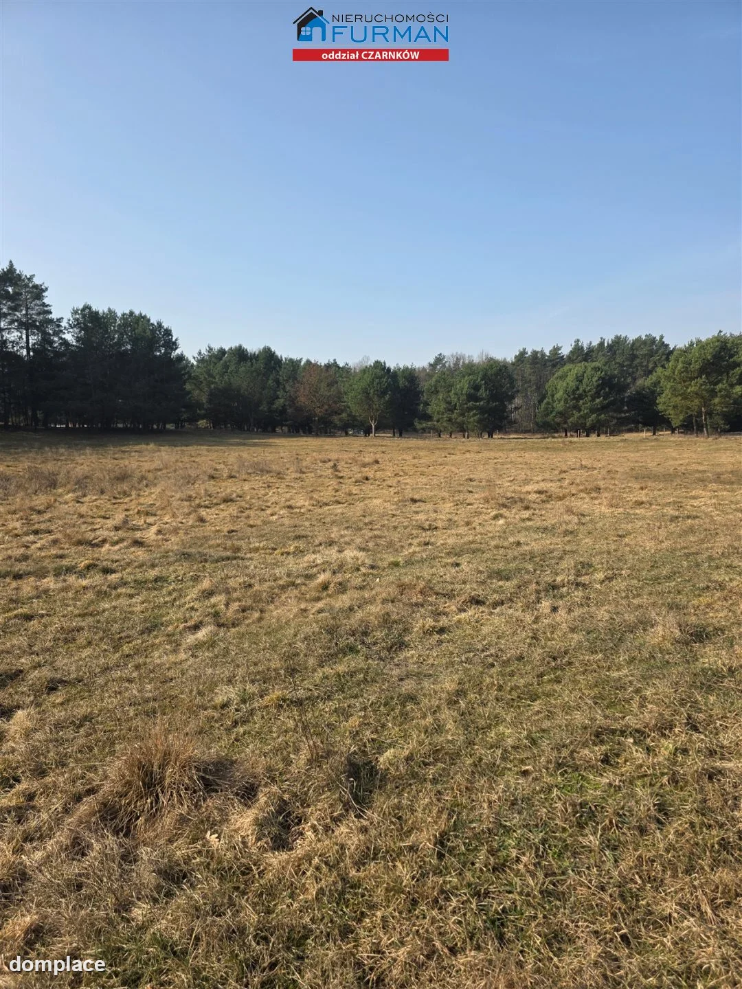 Działka — Bukowiec — zdjęcie 6