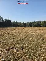 Działka — Bukowiec — zdjęcie 6