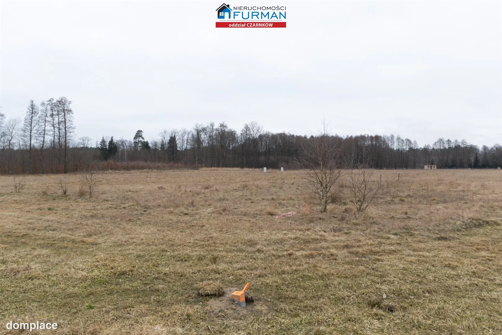 Działka — Klempicz — zdjęcie 8
