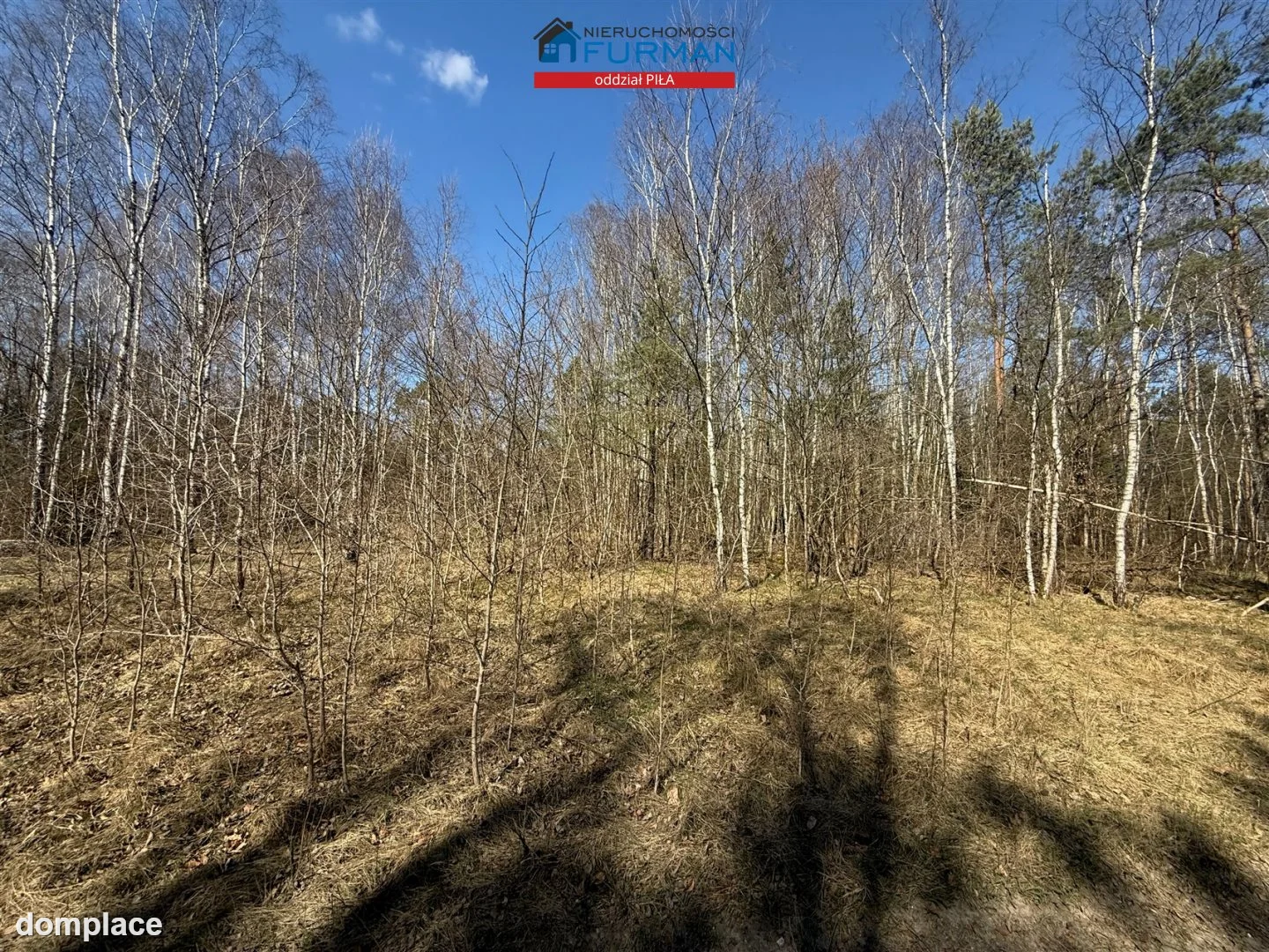 Działka — Czechyń — zdjęcie 3