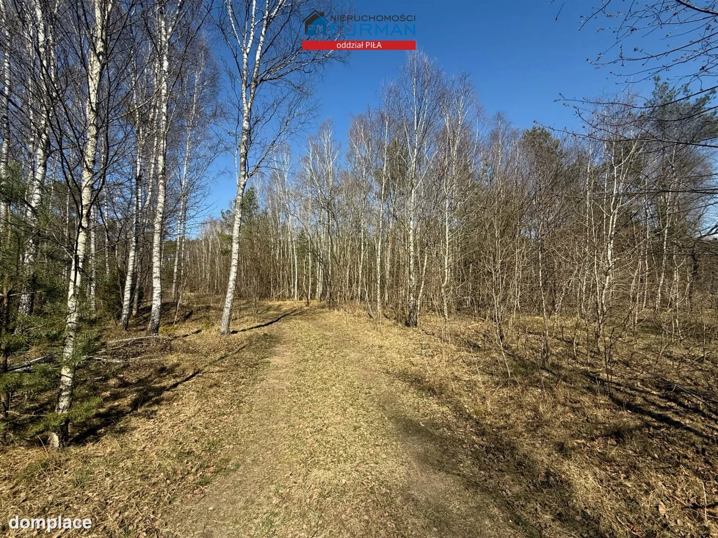 Działka — Czechyń — zdjęcie 5
