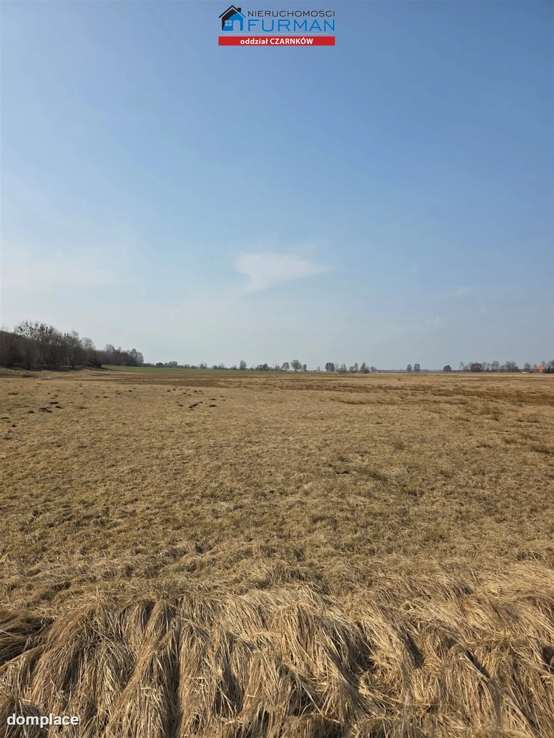 Działka — Czarnków — zdjęcie 13
