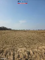 Działka — Czarnków — zdjęcie 13