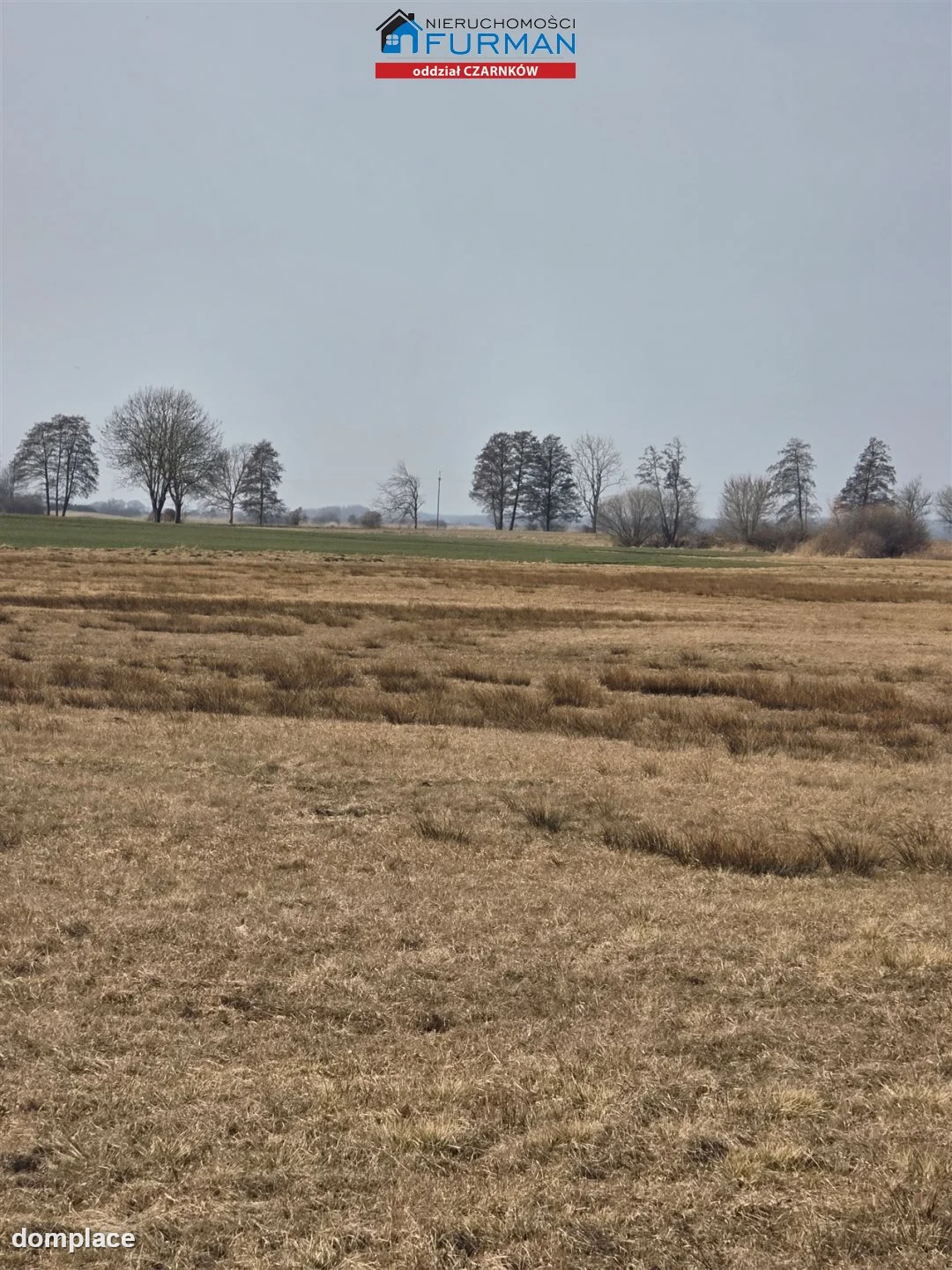 Działka — Czarnków — zdjęcie 14