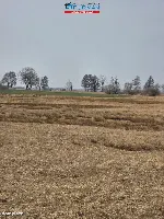Działka — Czarnków — zdjęcie 14