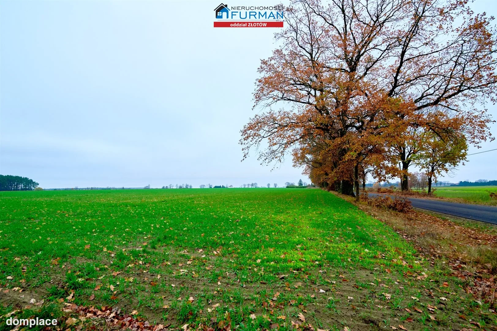 Działka — Mały Buczek — zdjęcie 3