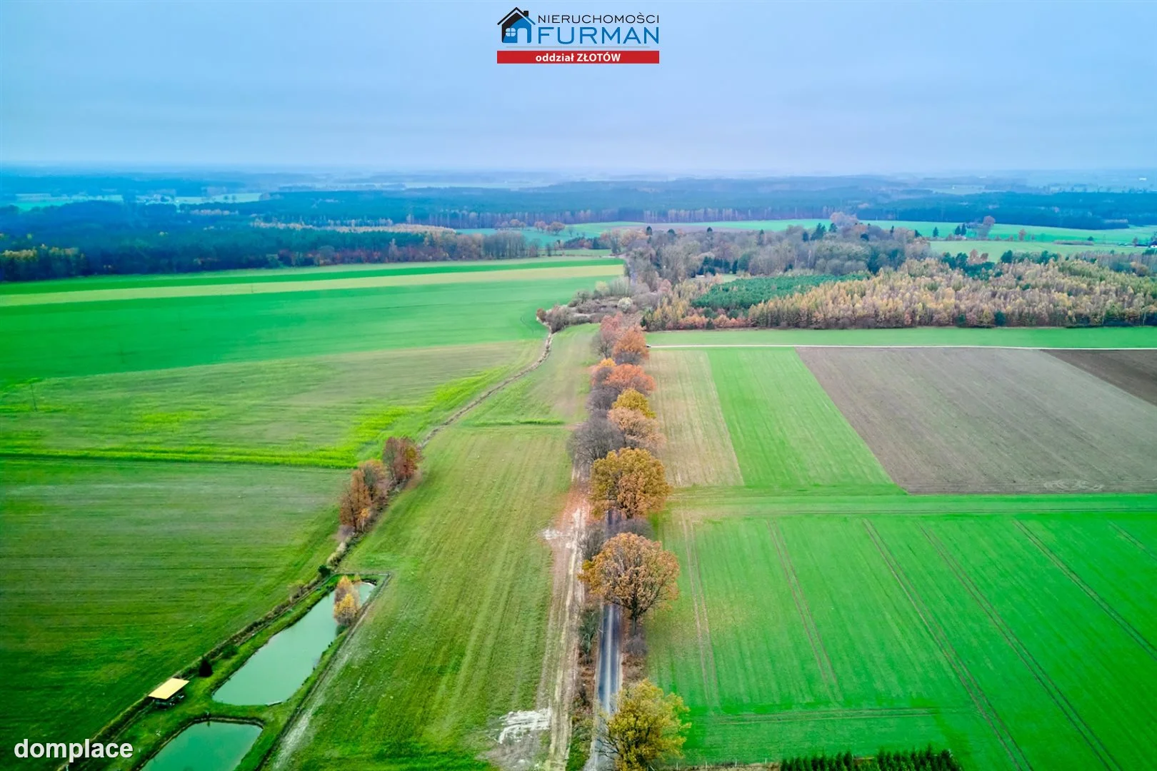 Działka — Mały Buczek — zdjęcie 5