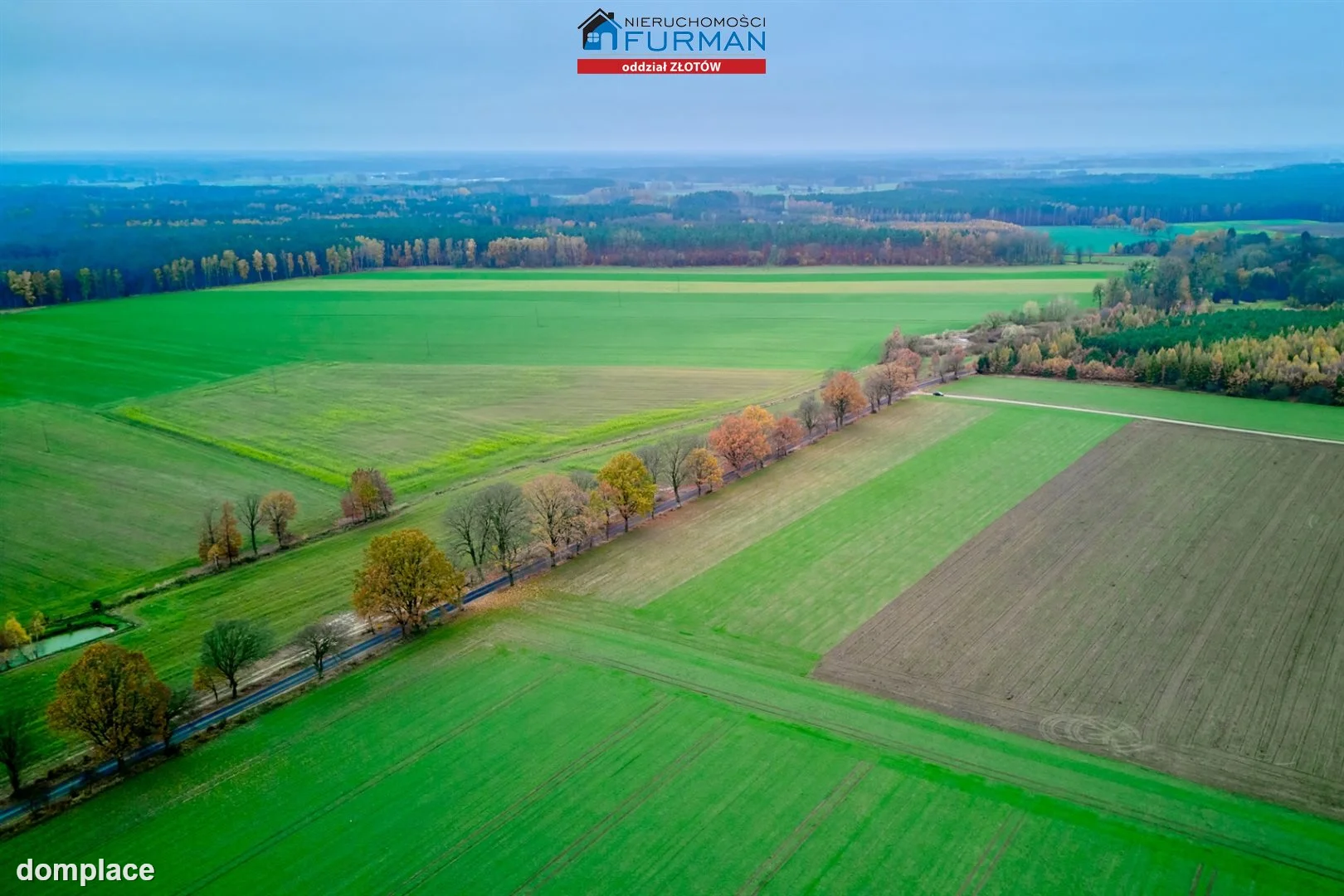 Działka — Mały Buczek — zdjęcie 6