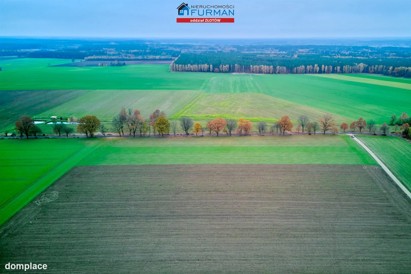Działka — Mały Buczek — zdjęcie 7