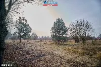 Działka — Okonek — zdjęcie 11