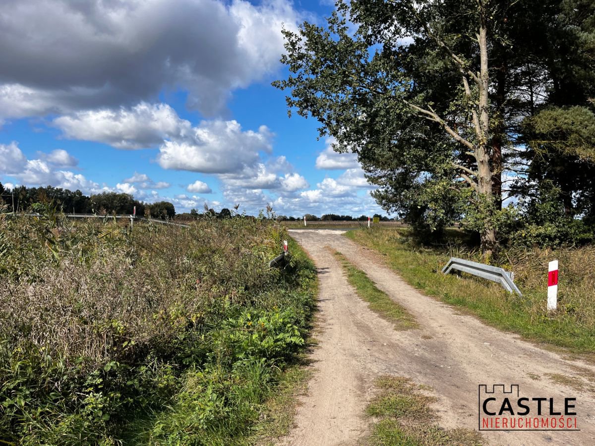 Działka budowlana blisko lasu, Trzciel/Jasieniec