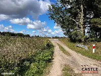 Działka budowlana blisko lasu, Trzciel/Jasieniec — zdjęcie 1