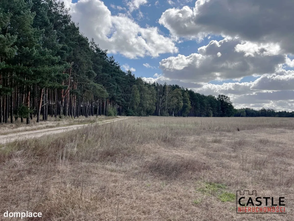 Działka budowlana blisko lasu, Trzciel/Jasieniec — zdjęcie 4