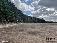 Działka budowlana blisko lasu, Trzciel/Jasieniec — zdjęcie 4
