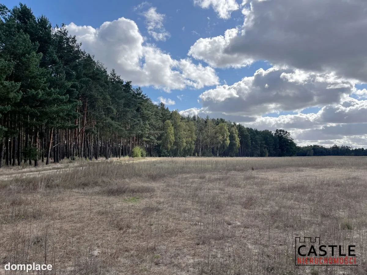 Działka budowlana blisko lasu, Trzciel/Jasieniec — zdjęcie 7