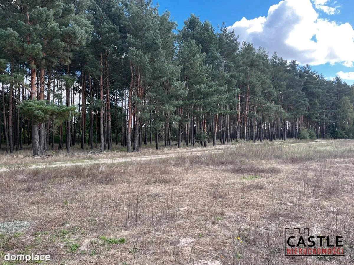Działka budowlana blisko lasu, Trzciel/Jasieniec — zdjęcie 8