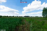 Działka — Rogoźno — zdjęcie 3