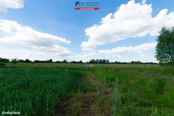 Działka — Rogoźno — zdjęcie 3