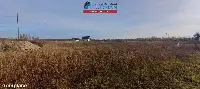 Działka — Młynary — zdjęcie 1