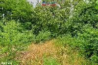 Działka — Złotów — zdjęcie 7