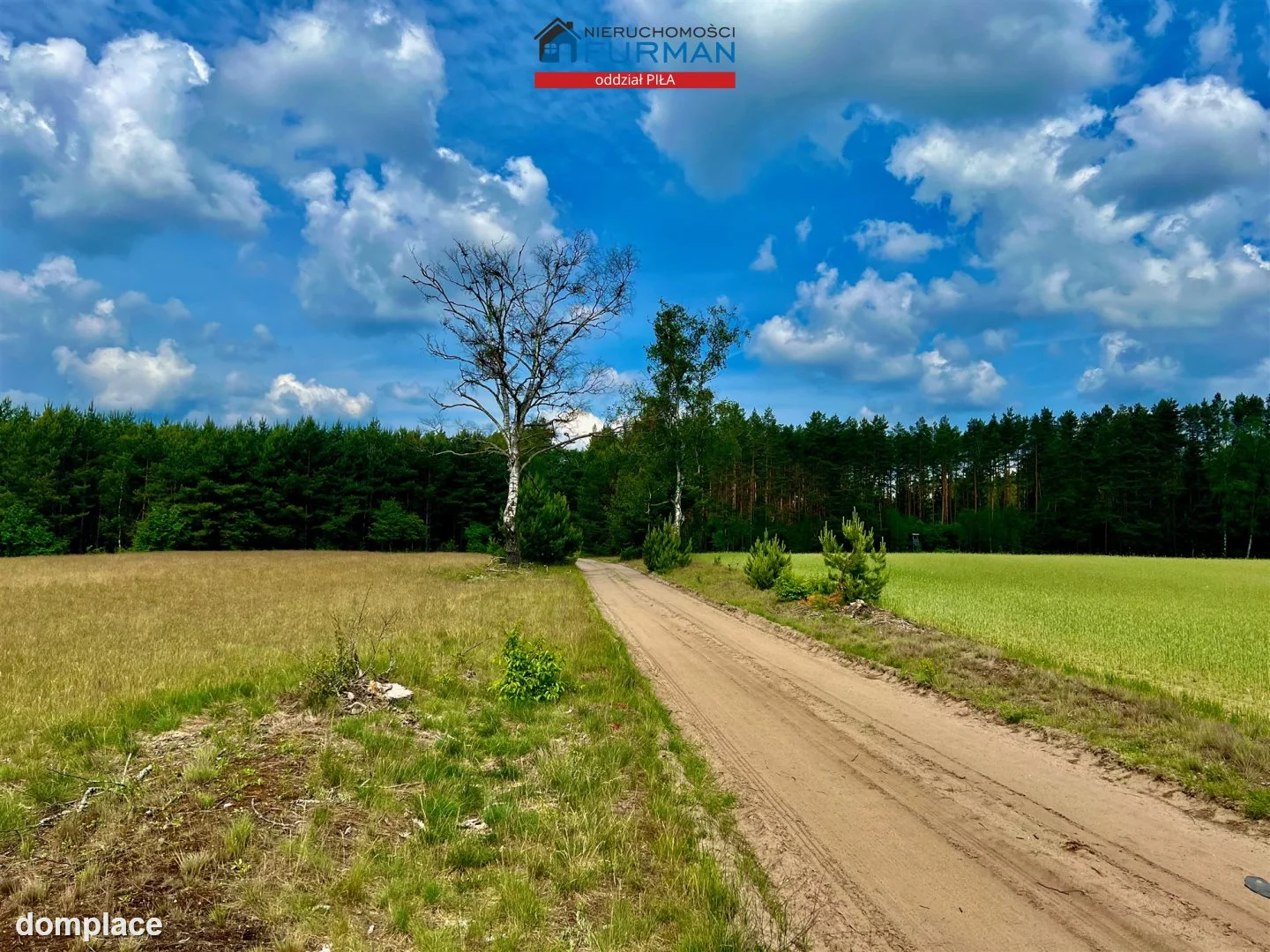 Działka — Straduń — zdjęcie 3