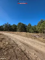 Działka — Krzyż Wielkopolski — zdjęcie 5