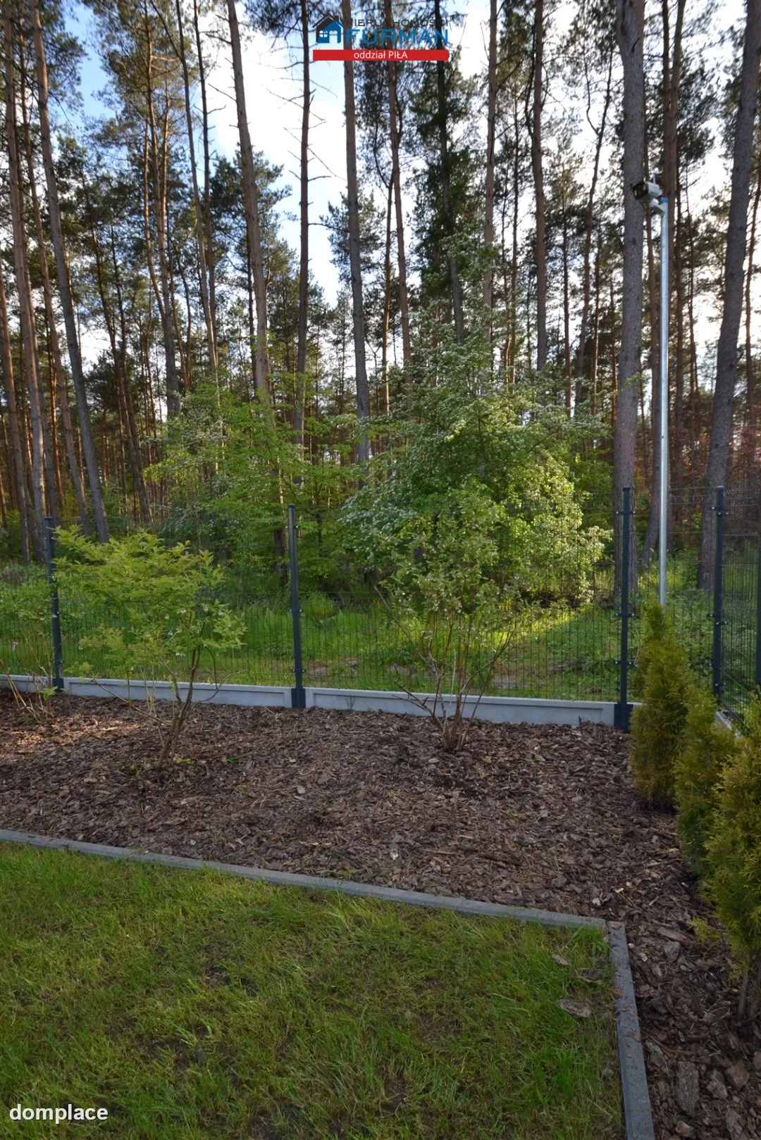 Działka — Dobrzyca — zdjęcie 13