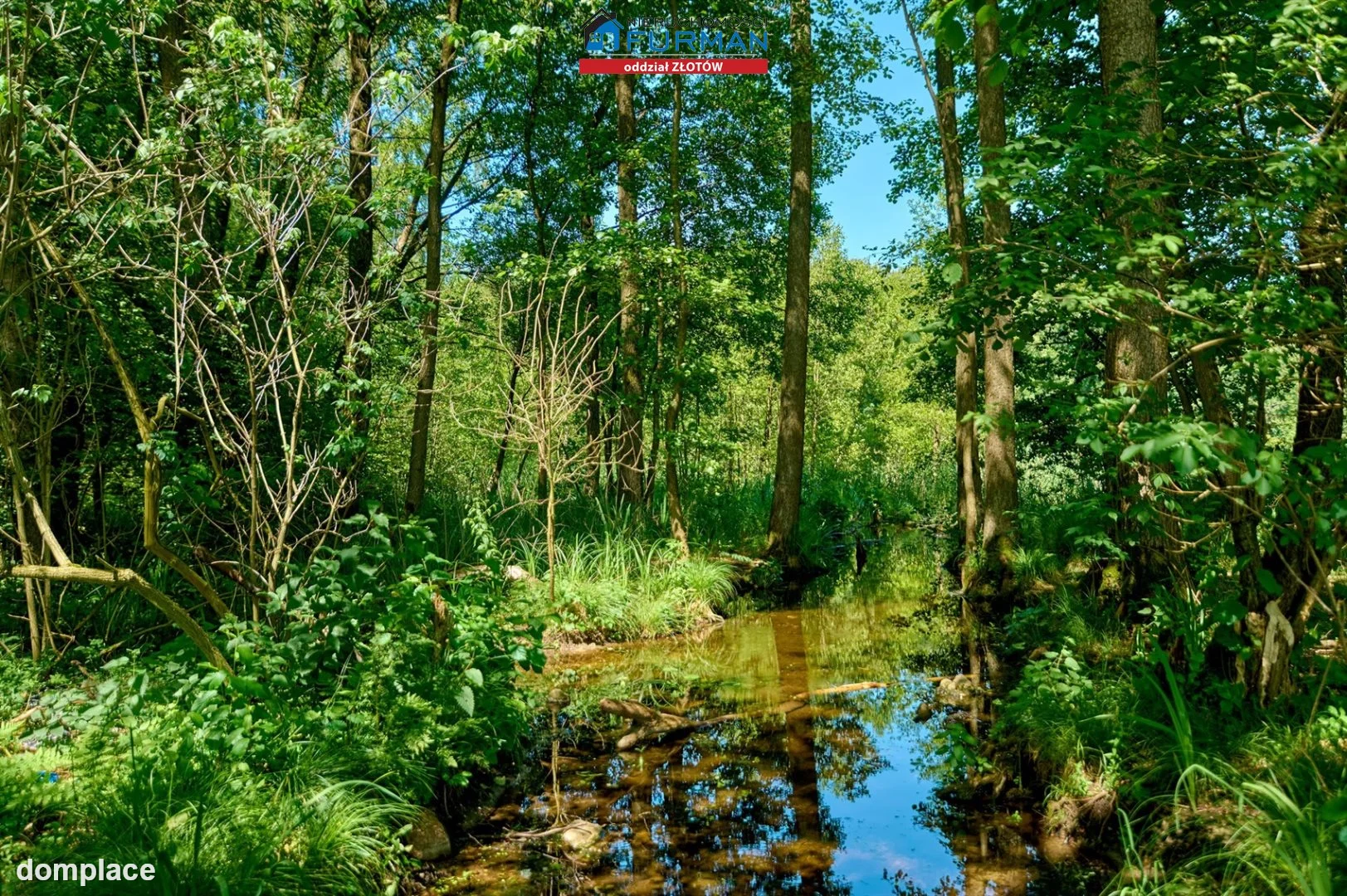 Działka — Łąkie — zdjęcie 12