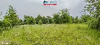 Działka — Oleśnica — zdjęcie 3