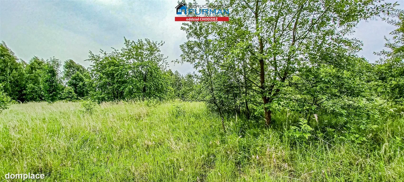 Działka — Oleśnica — zdjęcie 4