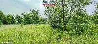 Działka — Oleśnica — zdjęcie 4