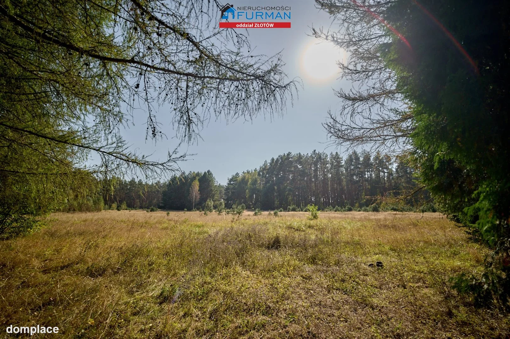 Działka — Zabrodzie — zdjęcie 3