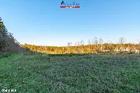 Działka — Okonek — zdjęcie 10