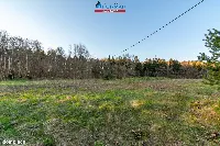 Działka — Okonek — zdjęcie 11