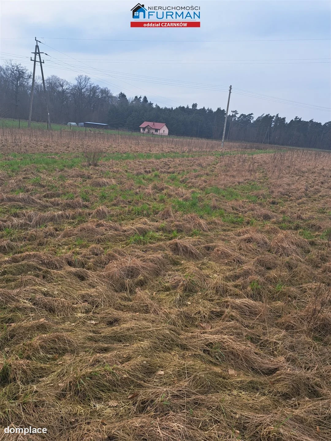 Działka — Krucz — zdjęcie 7