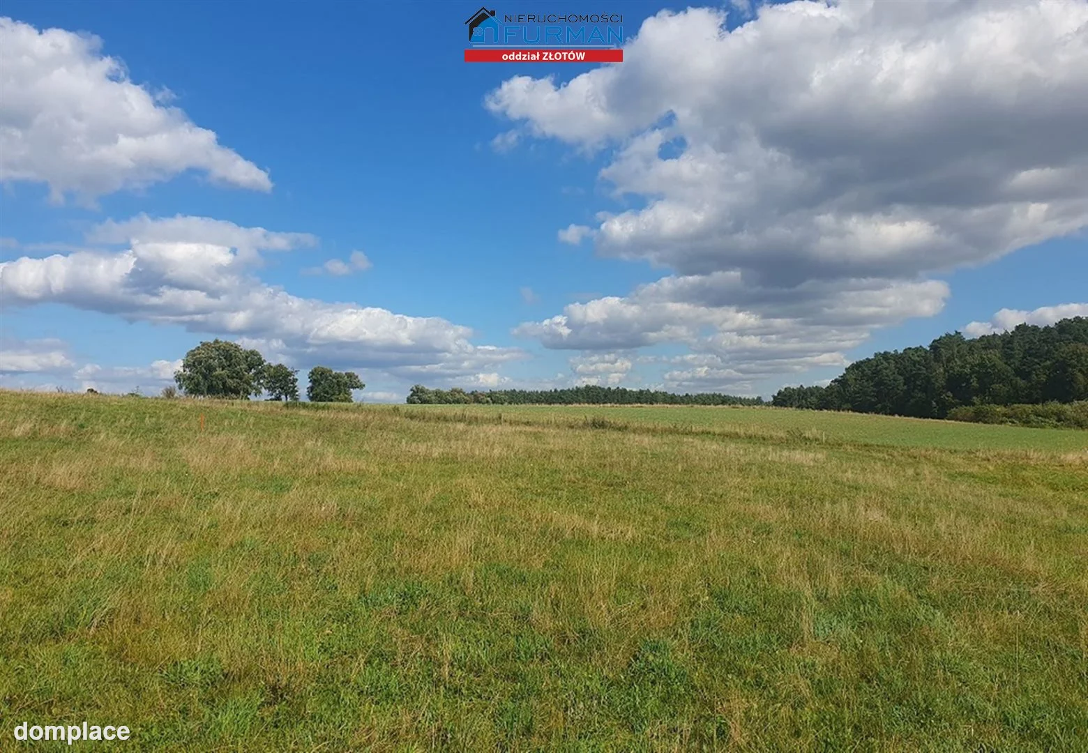 Działka — Święta — zdjęcie 2
