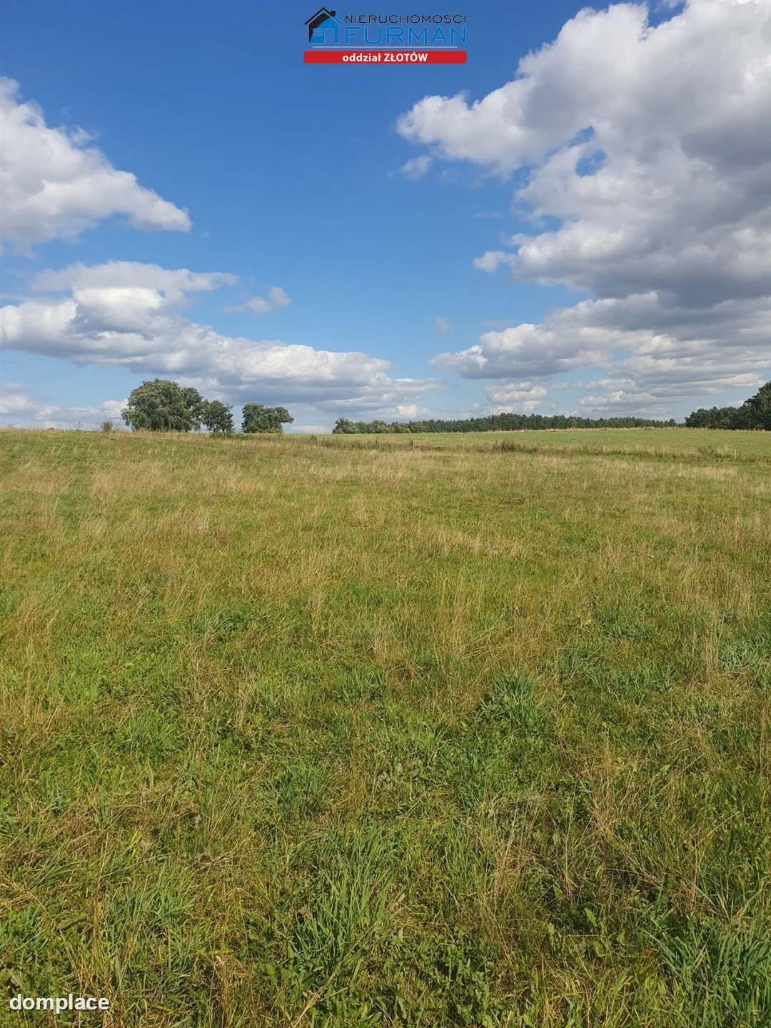 Działka — Święta — zdjęcie 5