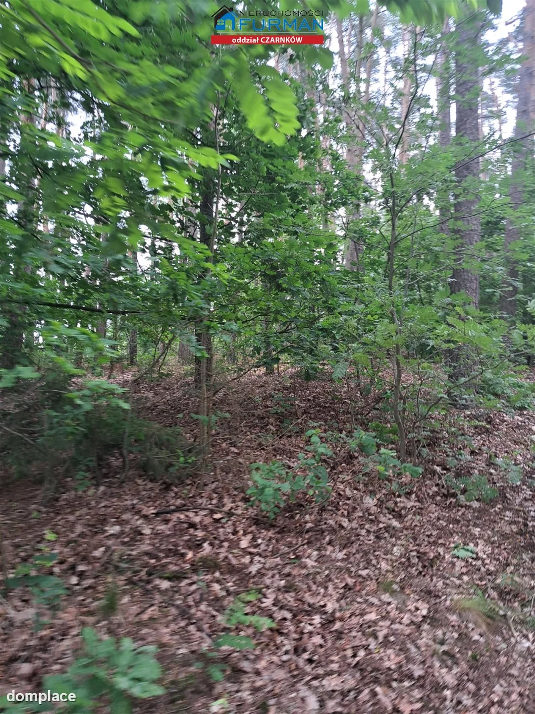 Działka — Sokołowo — zdjęcie 2
