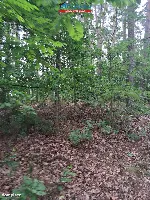 Działka — Sokołowo — zdjęcie 2