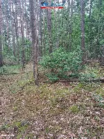 Działka — Sokołowo — zdjęcie 8