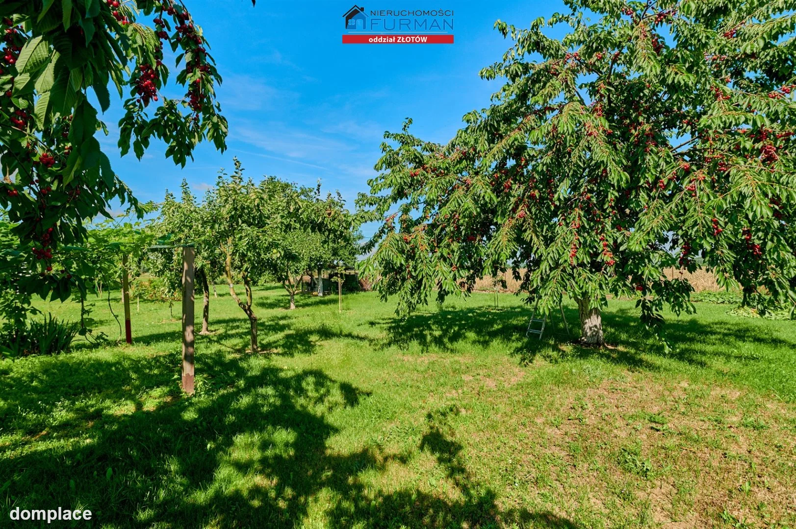 Działka — Krajenka-Wybudowanie — zdjęcie 3