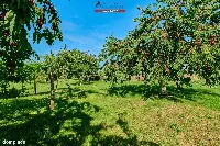 Działka — Krajenka-Wybudowanie — zdjęcie 3